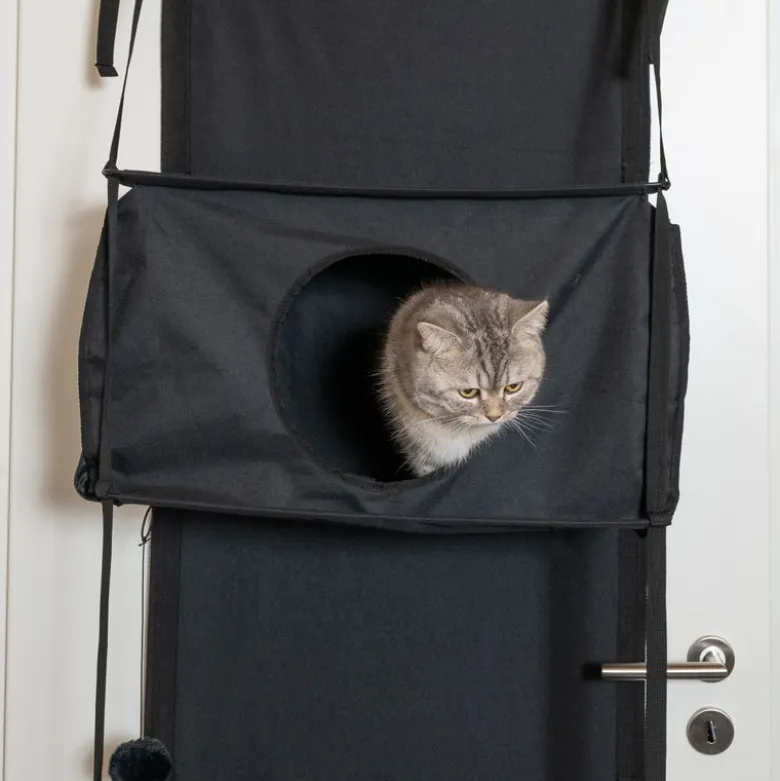 zooplus Basics Door -kiipeilypuu kissalle