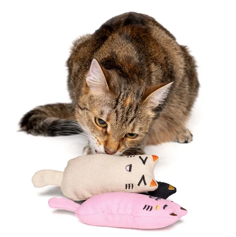 zooplus Basics Kitty -kissanlelusetti kissanmintulla