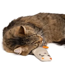 zooplus Basics Kitty -kissanlelusetti kissanmintulla