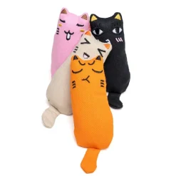 zooplus Basics Kitty -kissanlelusetti kissanmintulla