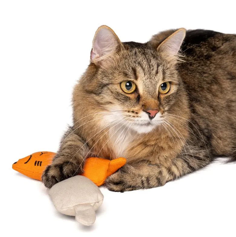 zooplus Basics Kitty -kissanlelusetti kissanmintulla