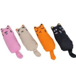 zooplus Basics Kitty -kissanlelusetti kissanmintulla