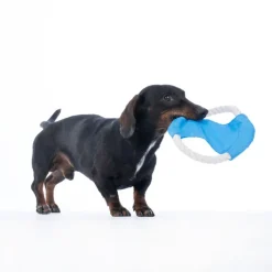 zooplus Basics -köysifrisbee