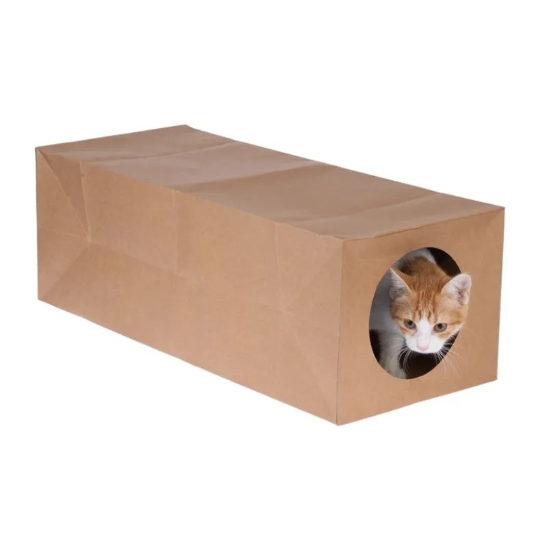 zooplus basics -paperitunneli kissoille
