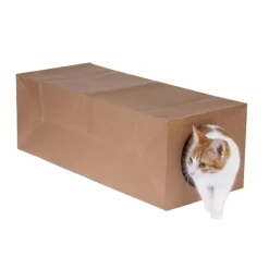 zooplus basics -paperitunneli kissoille