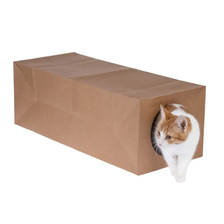 zooplus basics -paperitunneli kissoille