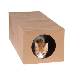 zooplus basics -paperitunneli kissoille