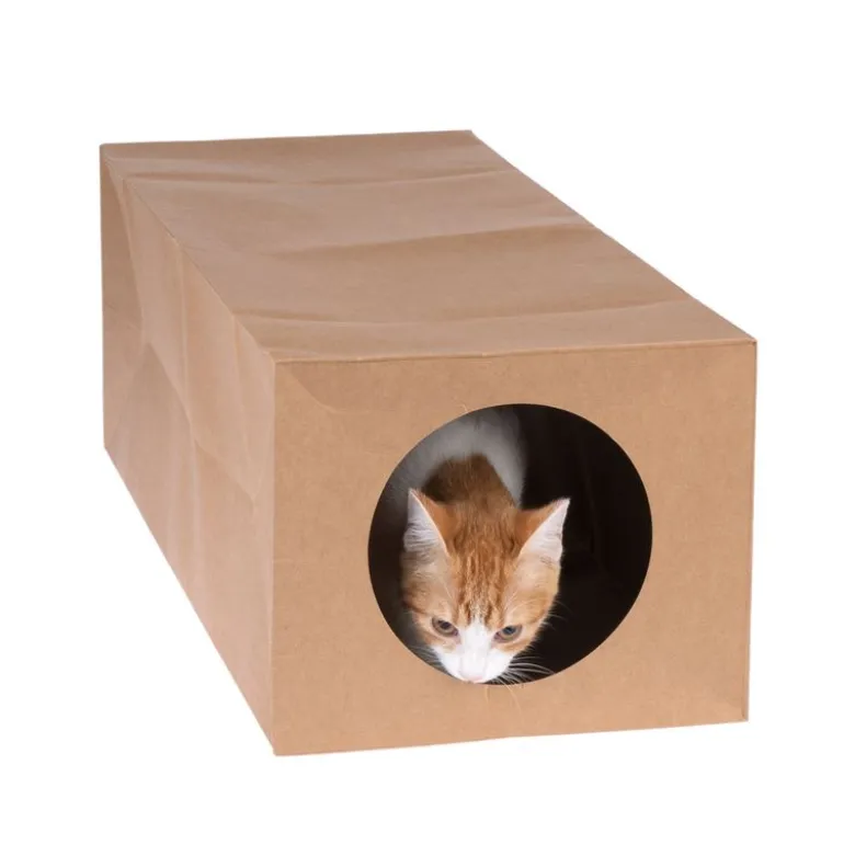 zooplus basics -paperitunneli kissoille