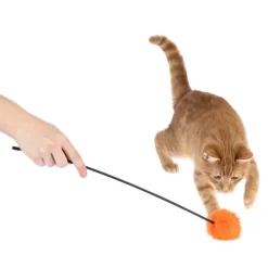 zooplus Basics Pompom -höyhenkeppi