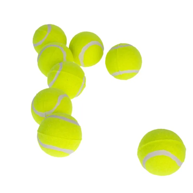 zooplus Basics -tennispallosetti