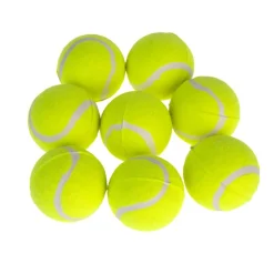 zooplus Basics -tennispallosetti