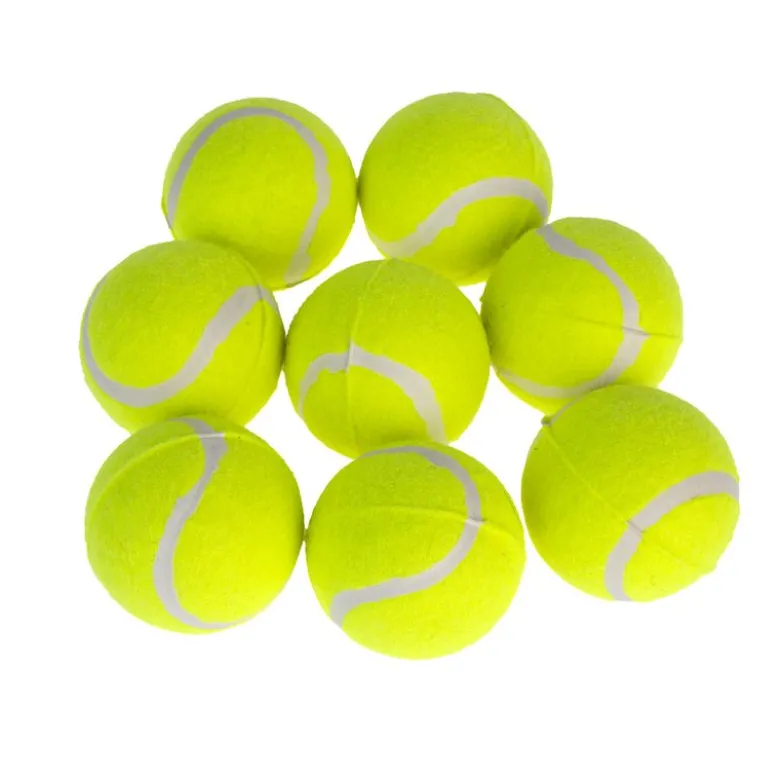 zooplus Basics -tennispallosetti