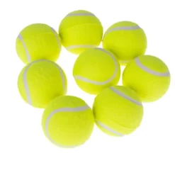 zooplus Basics -tennispallosetti