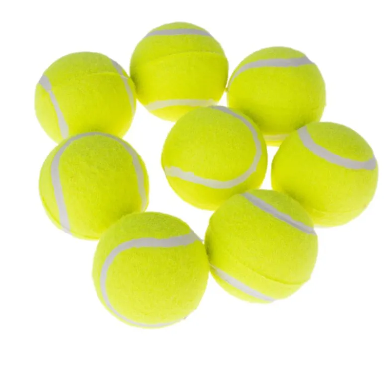 zooplus Basics -tennispallosetti