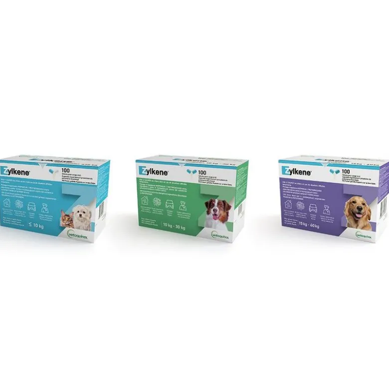 Zylkene-kapselit 450 mg yli 30 kg painaville koirille